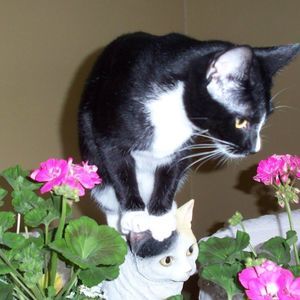 Meet your Posher, Jackie